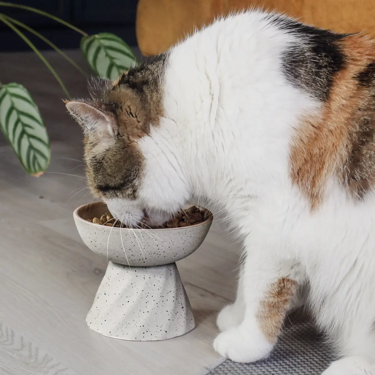 Ne&No - ciotola rialzata in ceramica per gatti effetto pietra - immagine 3