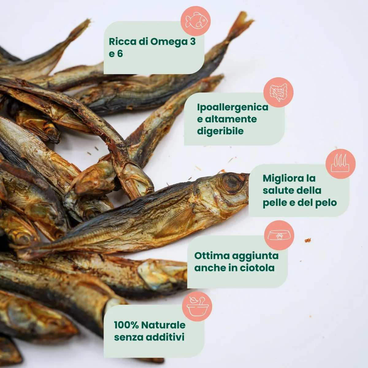 Acciughe essiccate (100g) - immagine 4