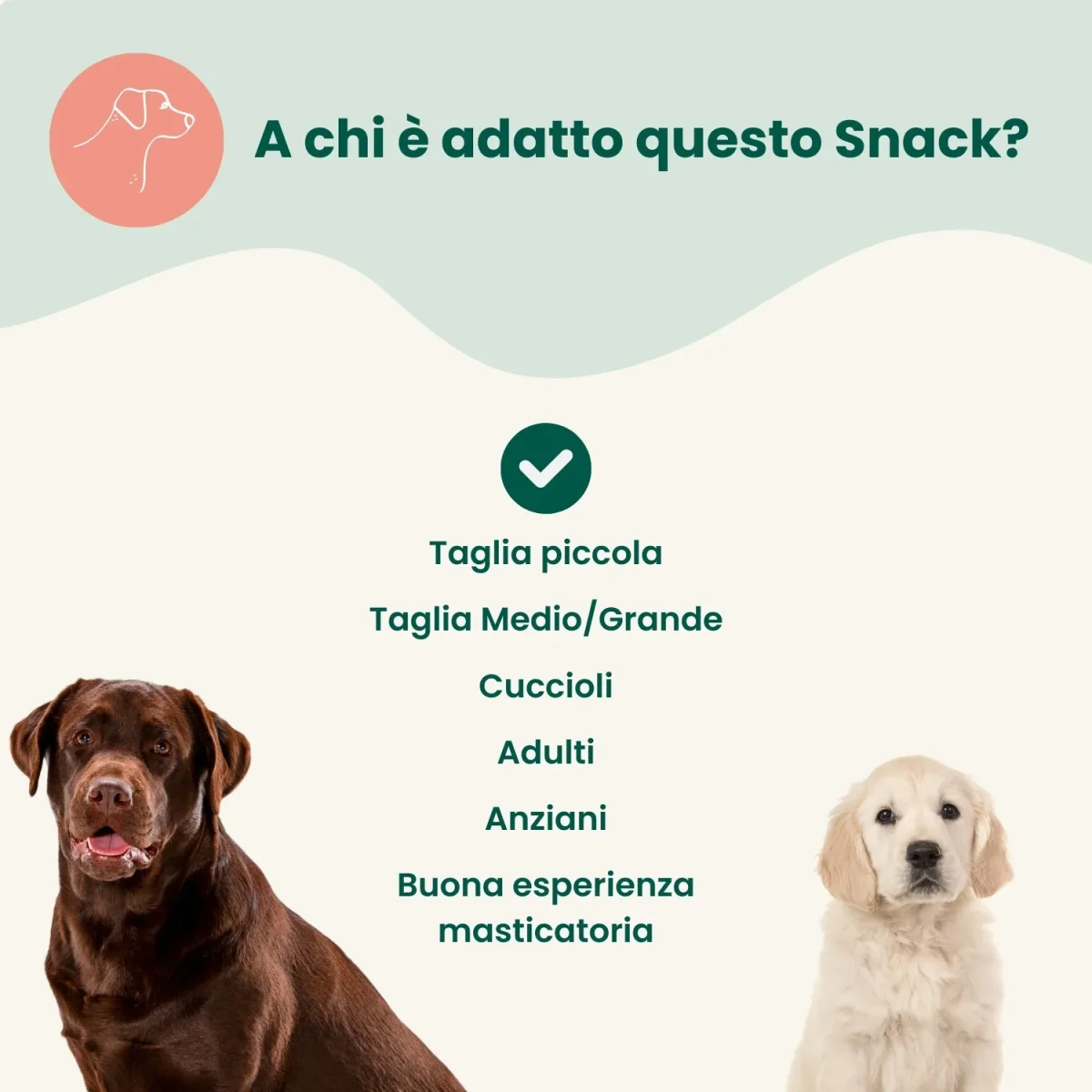 Biscottoni alla Mela (400g) - immagine 5