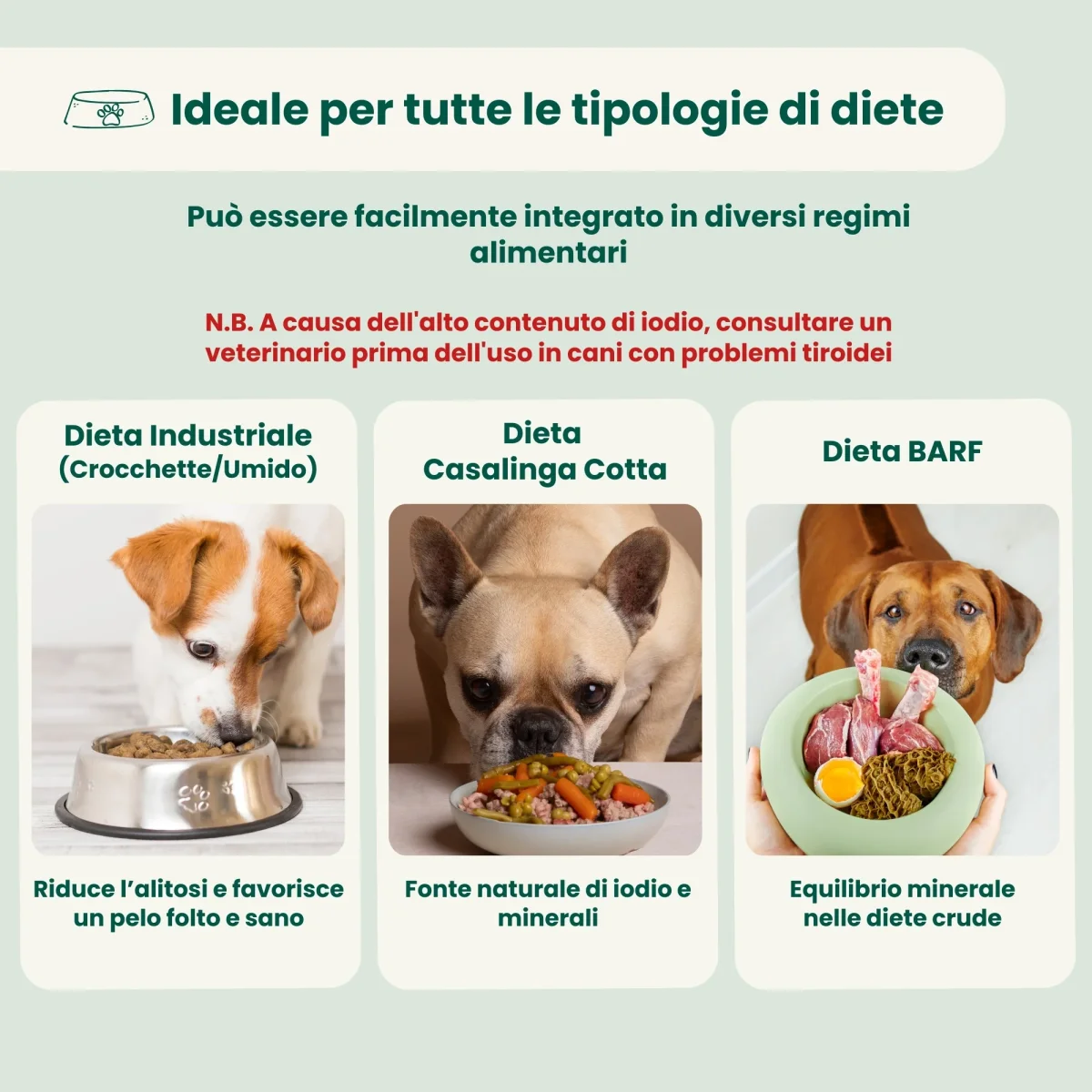 Alga Marina - immagine 5