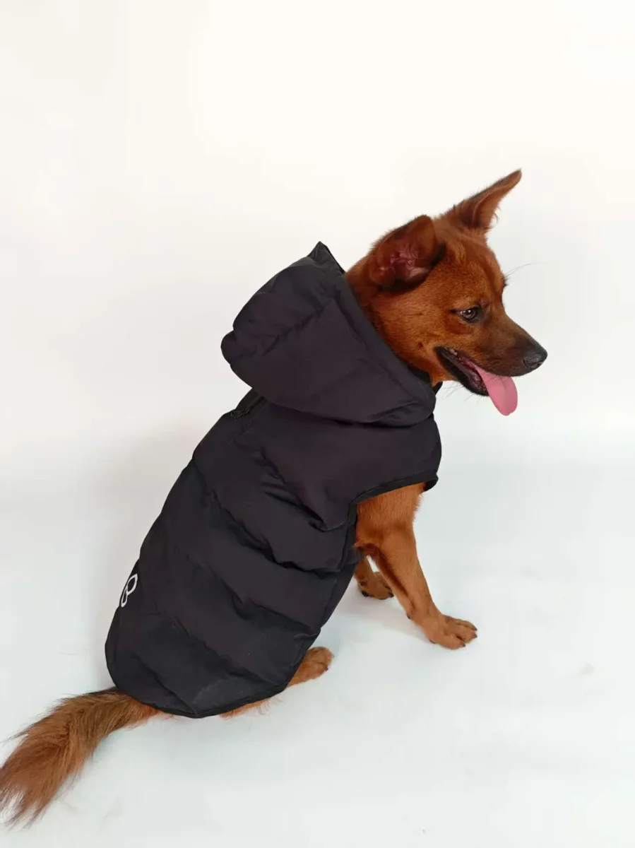 Caldo smanicato con cappuccio - mod.Casius - ecosostenibile - immagine 5