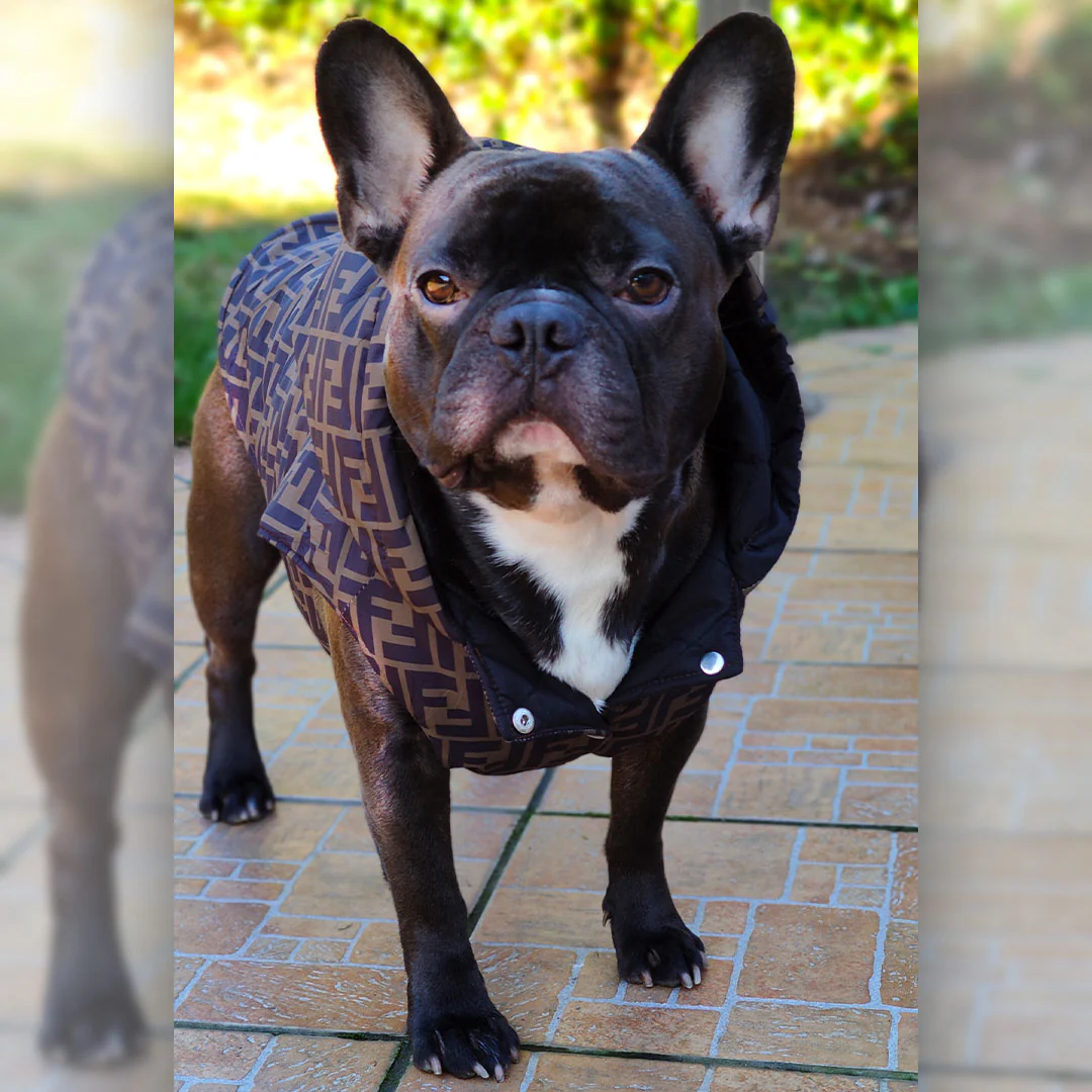 Cappotto con cappuccio - smanicato - luxury - immagine 5