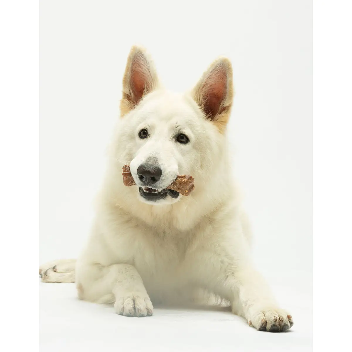 Cheewi - Osso al Formaggio e burro di arachidi - immagine 2