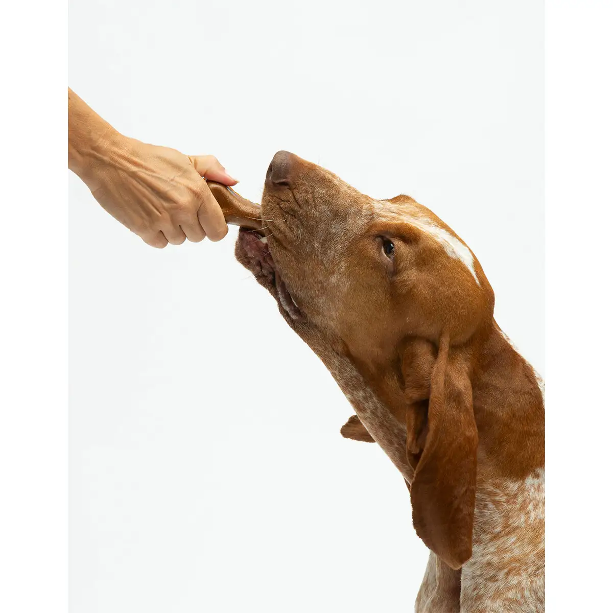 Cheewi - Osso al Formaggio e burro di arachidi - immagine 8