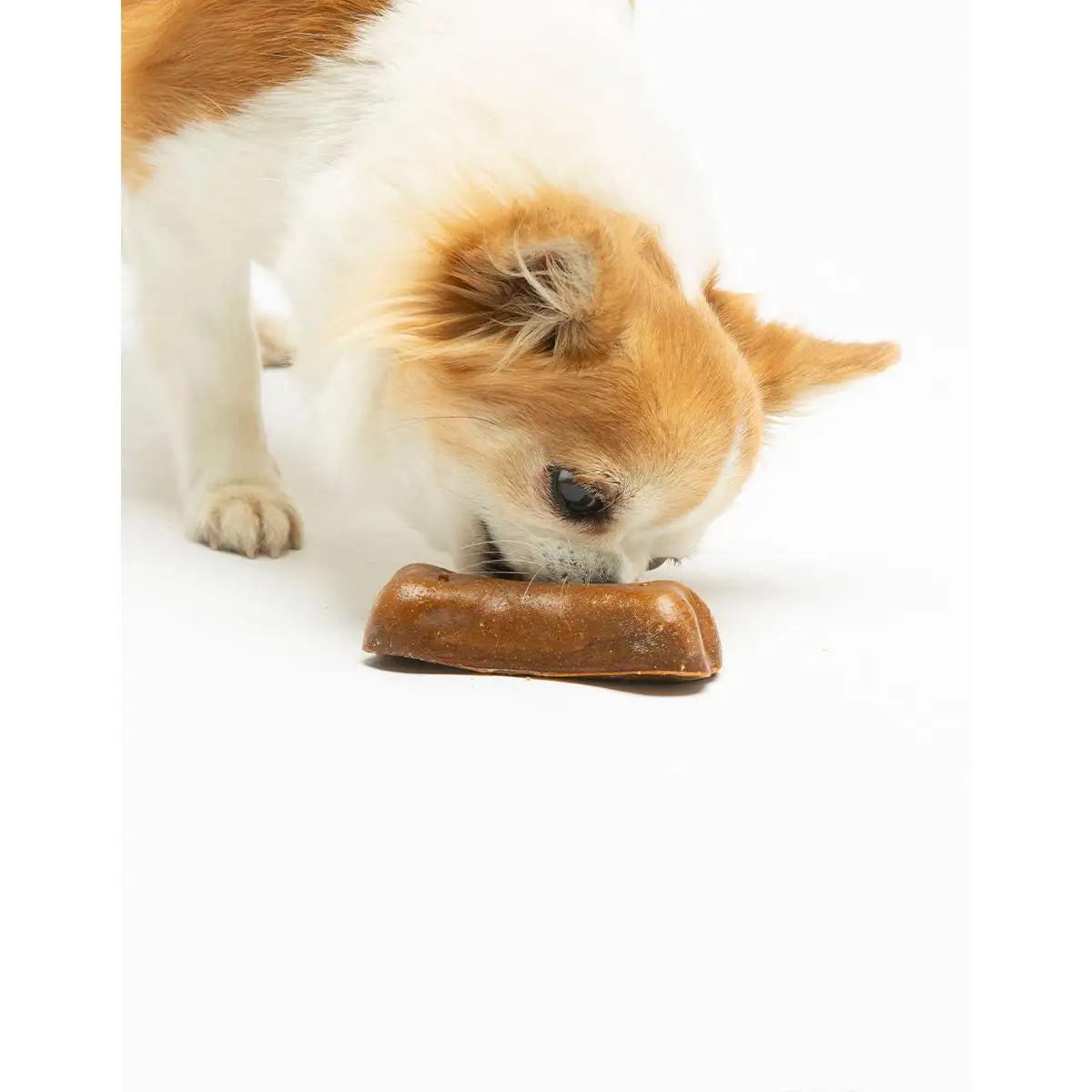 Cheewi - Osso al Formaggio e burro di arachidi - immagine 9