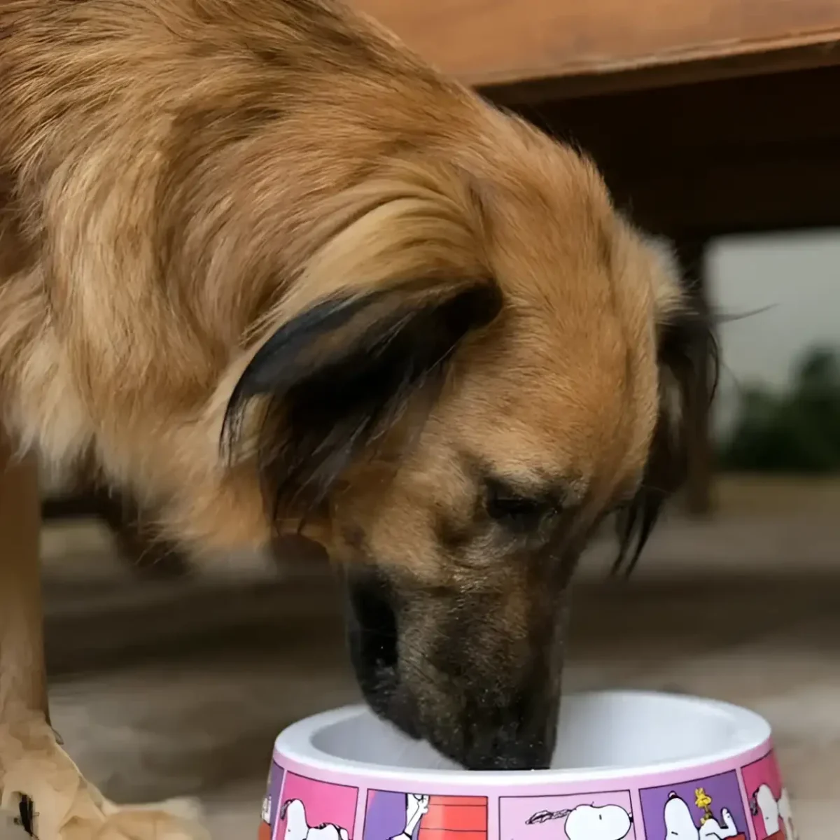 Ciotola Charlie Brown Film Pink - immagine 4