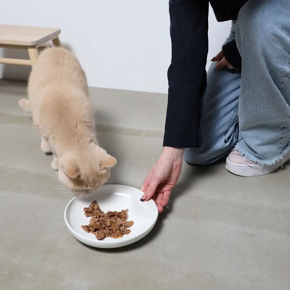 Hoopo Ciotola per gatti Plate - immagine 3