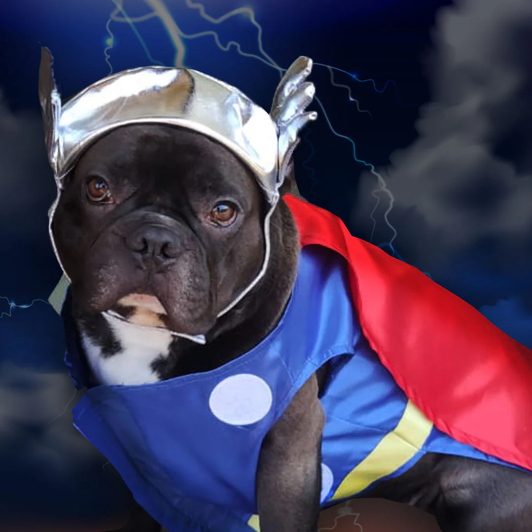 Costume Carnevale per cani e gatti - Thor - immagine 2