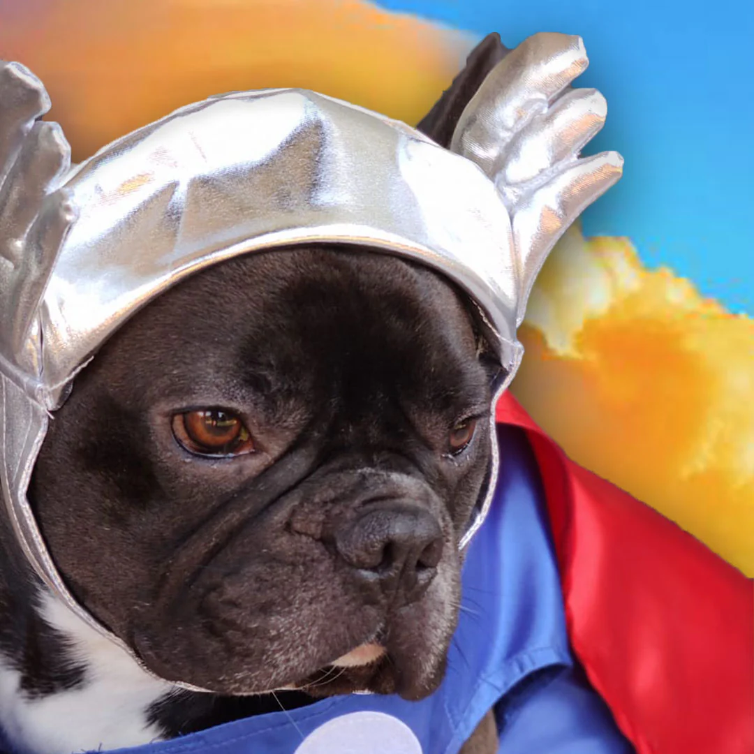 Costume Carnevale per cani e gatti - Thor - immagine 4