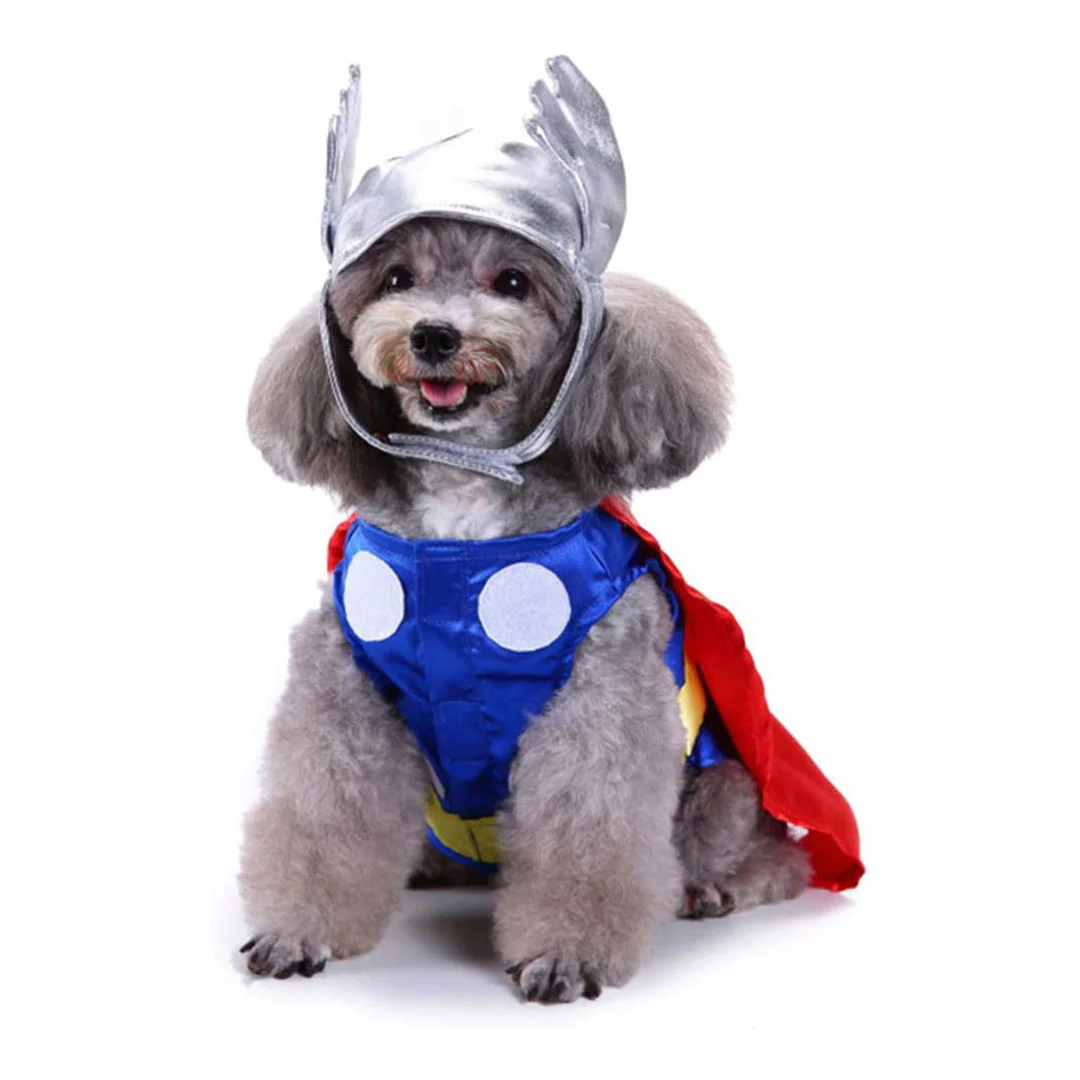 Costume Carnevale per cani e gatti - Thor - immagine 5