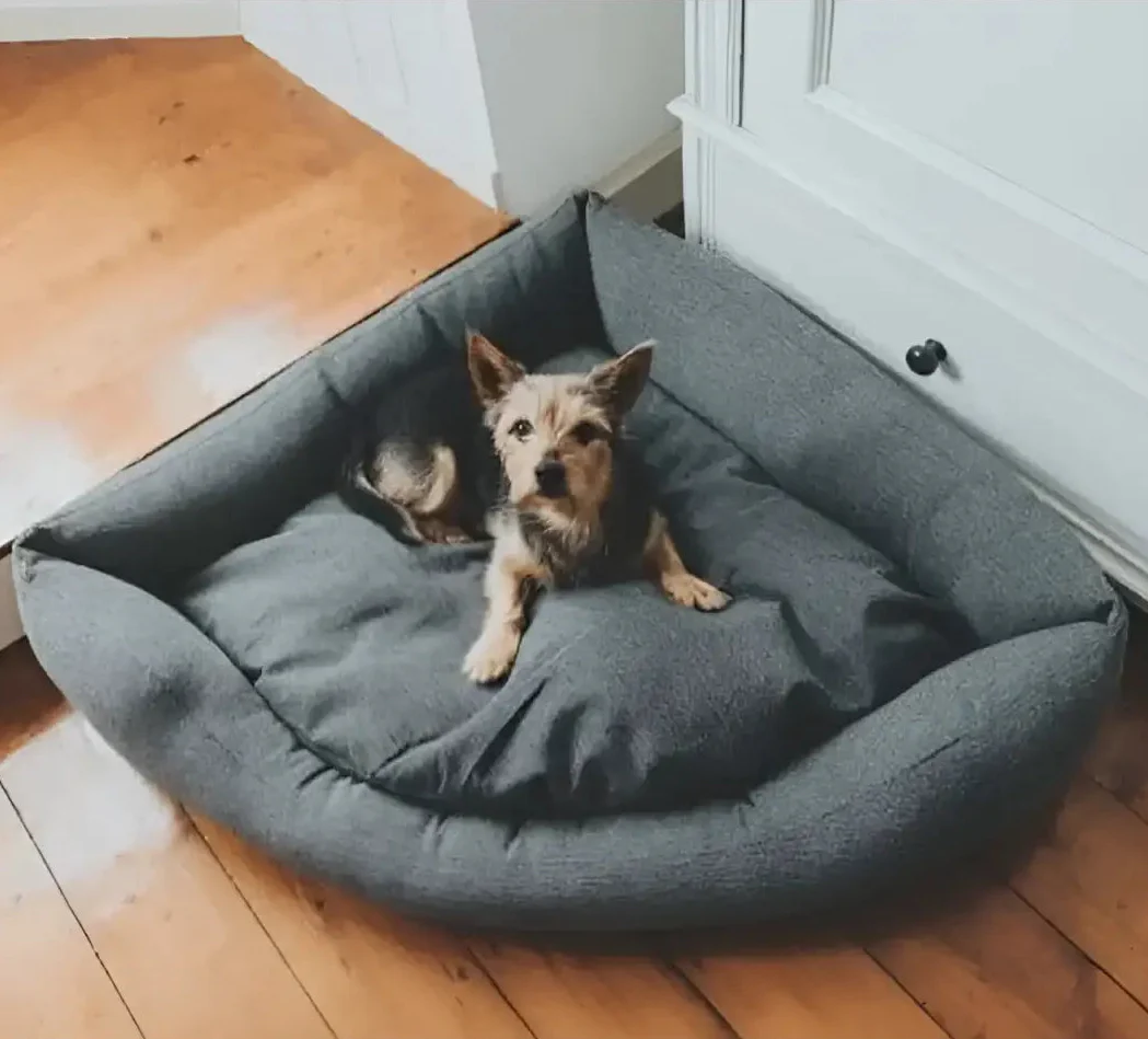 Cuccia Angolare Posh Pod