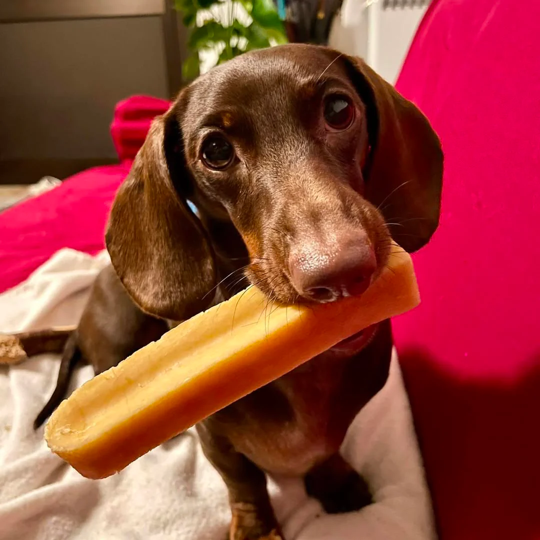 Latte di Yak (1 pz) - immagine 6