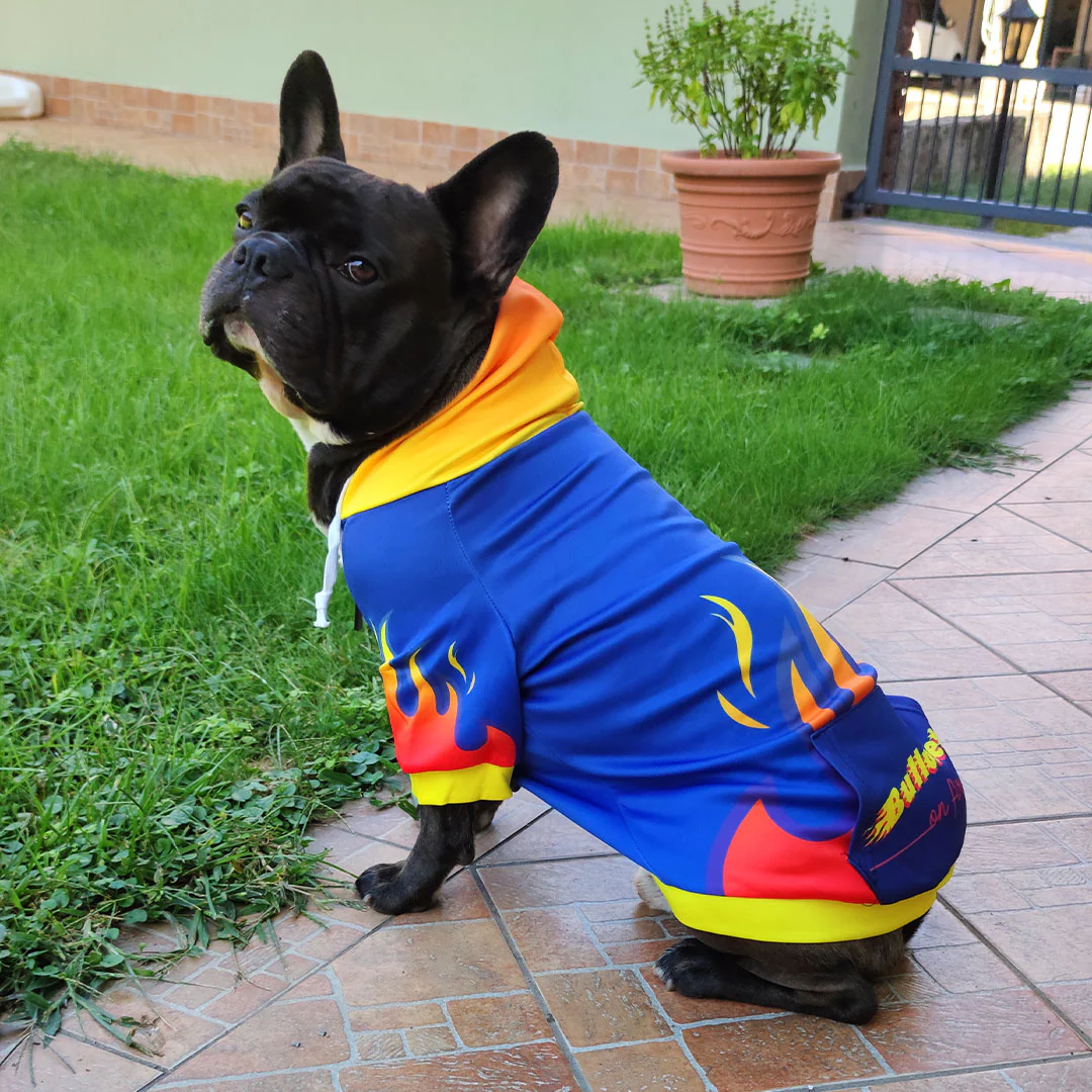 Felpa con cappuccio FIRE - con zip e maniche - immagine 4