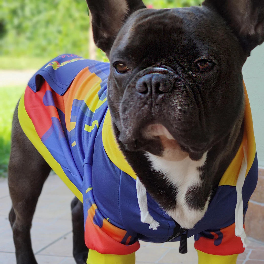 Felpa con cappuccio FIRE - con zip e maniche - immagine 6