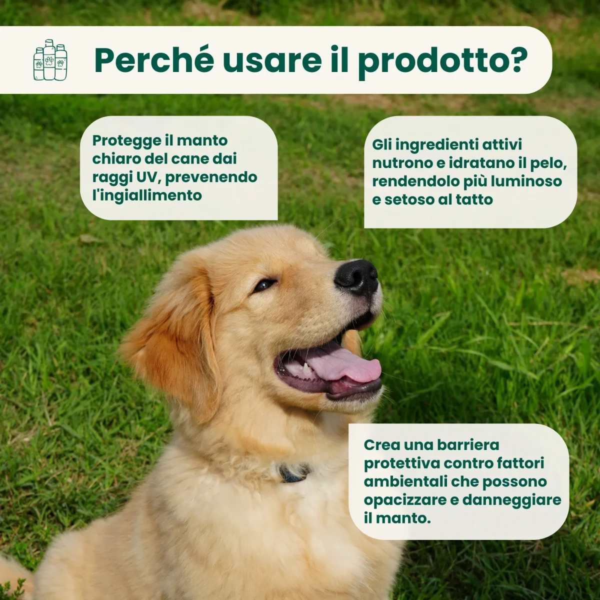 Lucidante per Pelo - Lozione con Filtro Solare - immagine 4