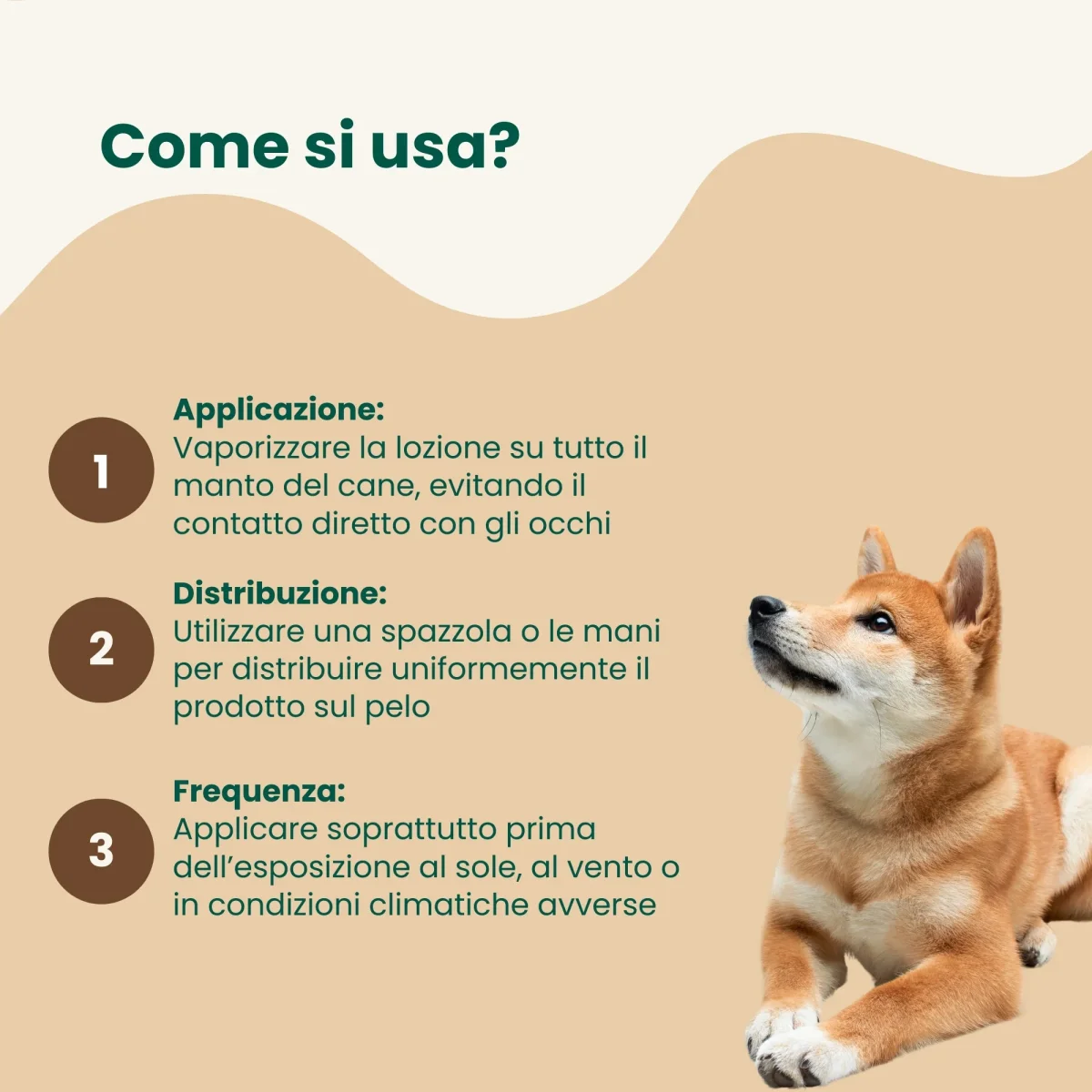 Lucidante per Pelo - Lozione con Filtro Solare - immagine 5