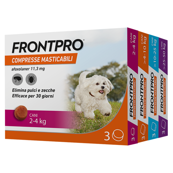 FrontPro -35% - immagine 2