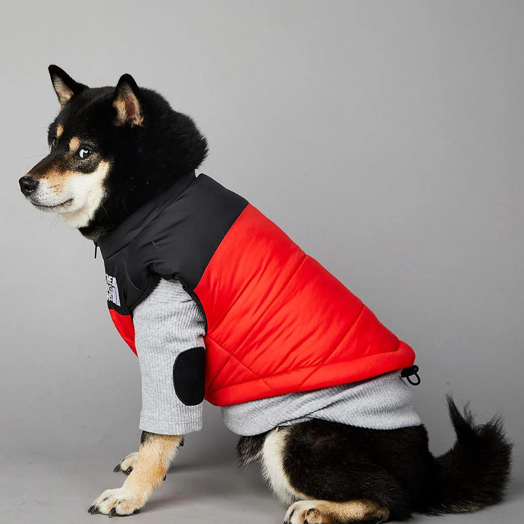 Gilet impermeabile imbottito nero e rosso - The Dog Fans - da 3 a 35kg - immagine 4