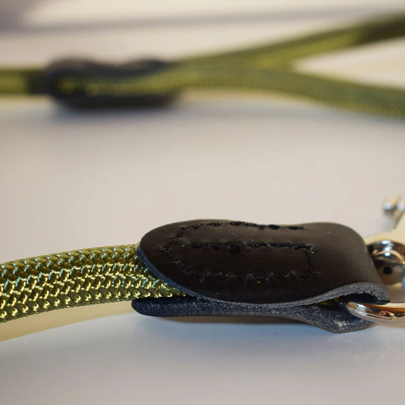 Guinzaglio elegante colorato - immagine 7