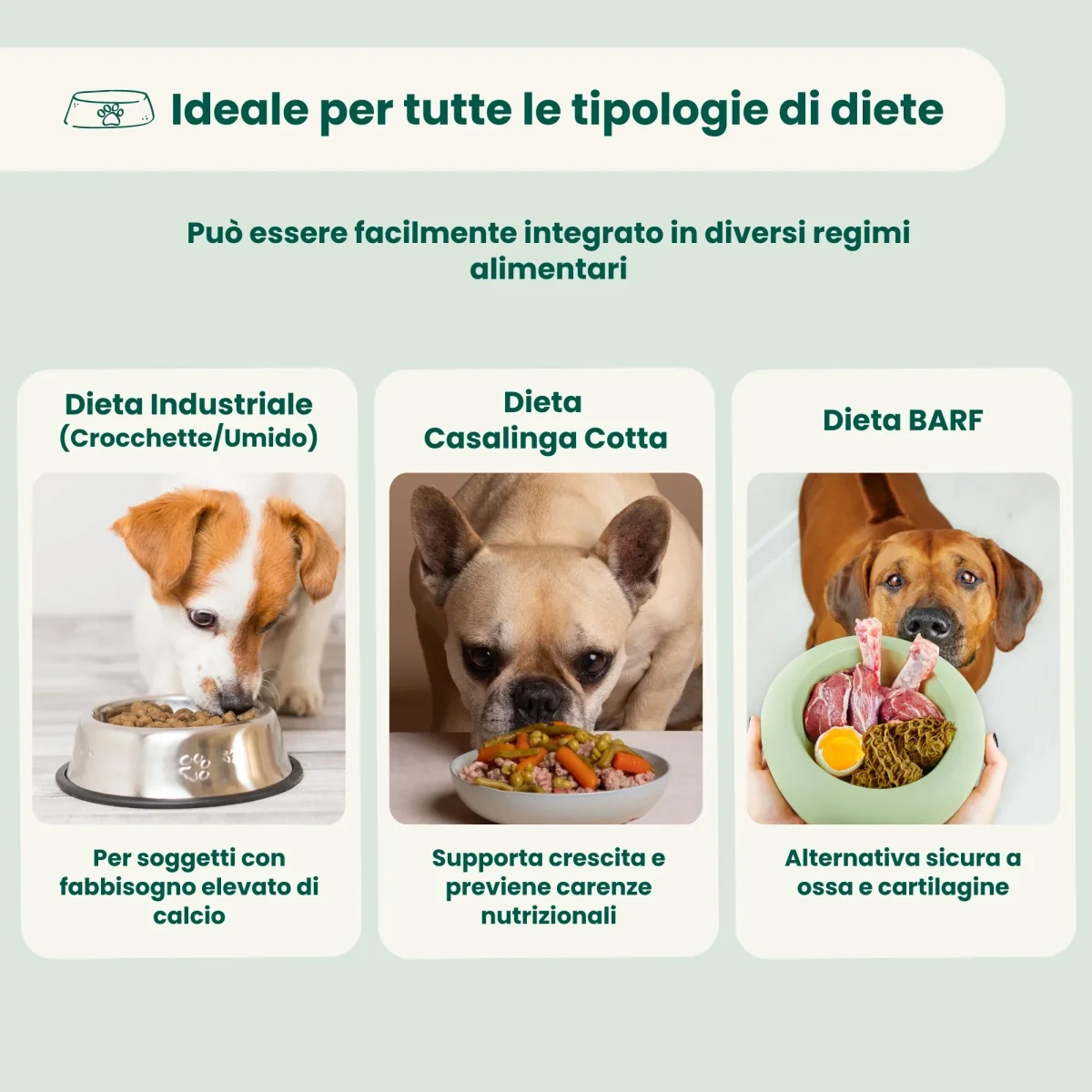 Guscio d'uovo in polvere - immagine 5