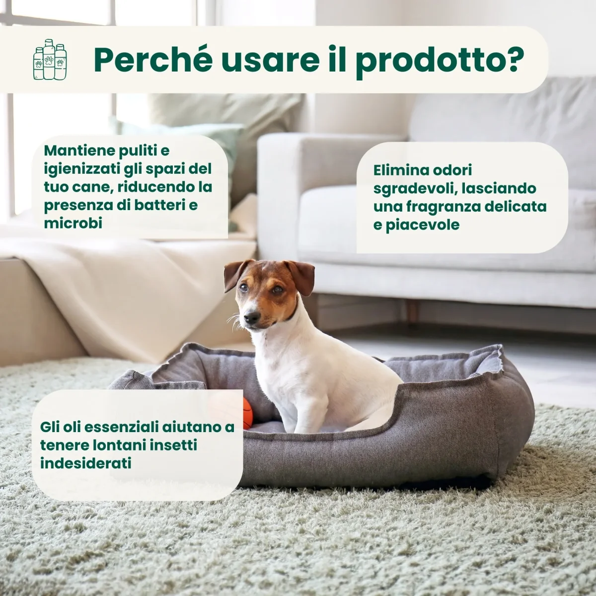 Igienizzante Spray - Cucce e Tessuti - immagine 4