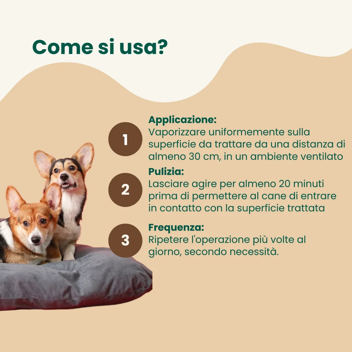 Igienizzante Spray - Cucce e Tessuti - immagine 5