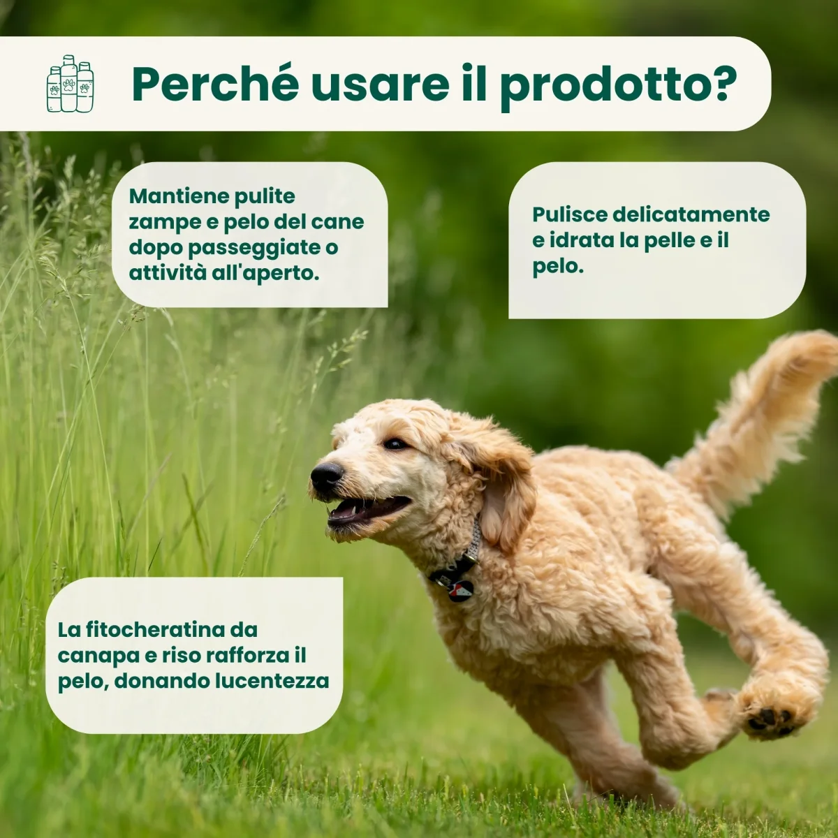 Igienizzante Spray - Zampe e Pelo - immagine 4