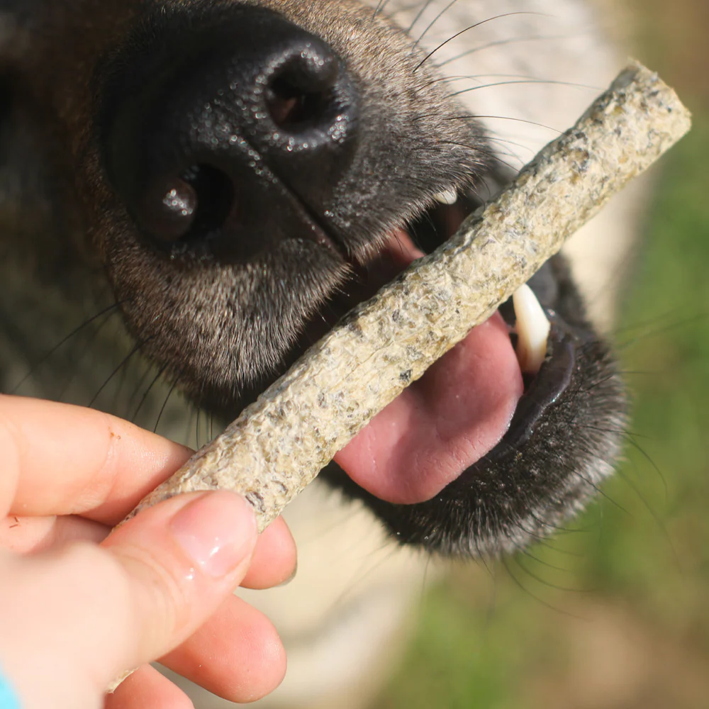 Bastoncini di Aringa (8 pz) - immagine 5