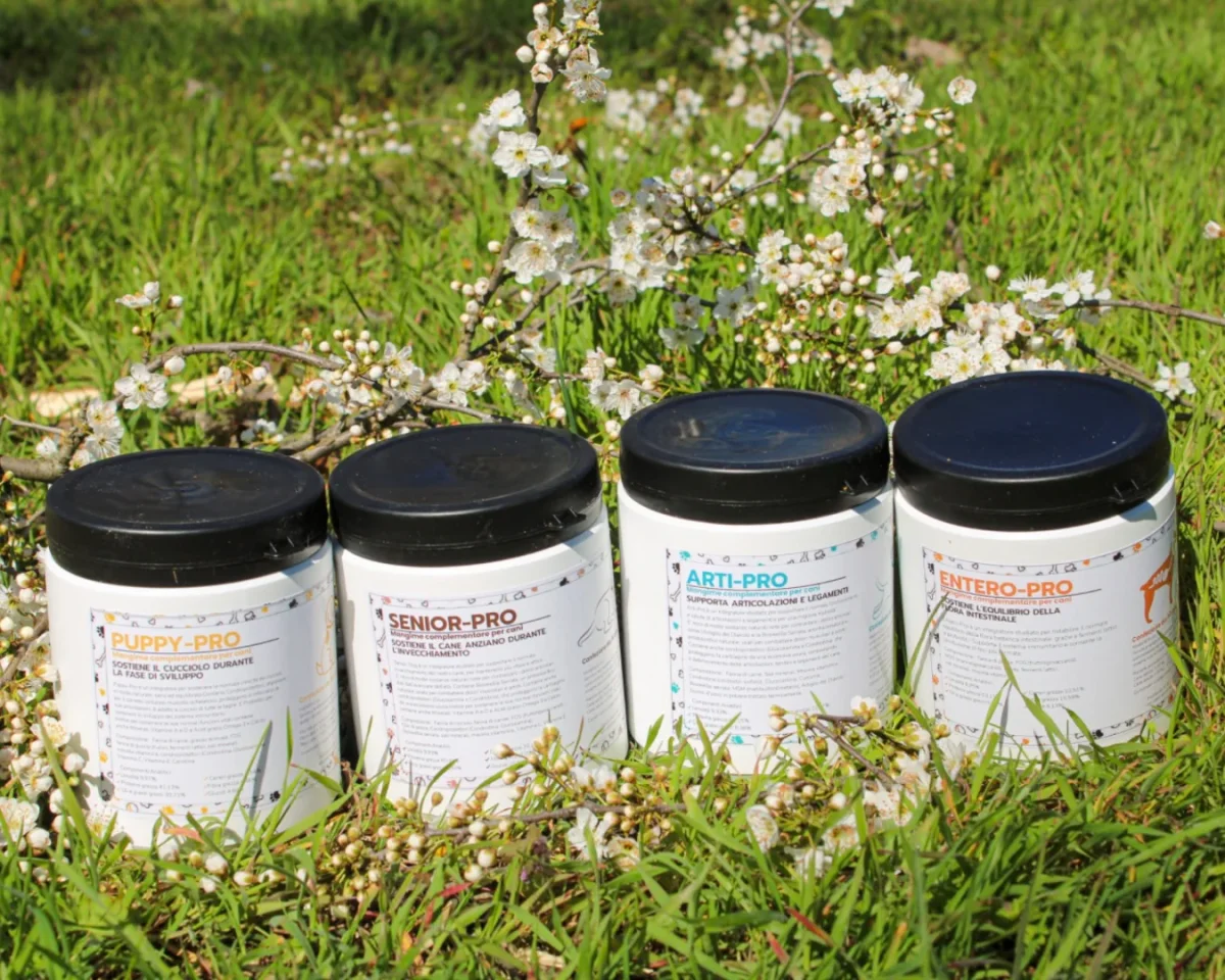 ARTI-PRO - immagine 4