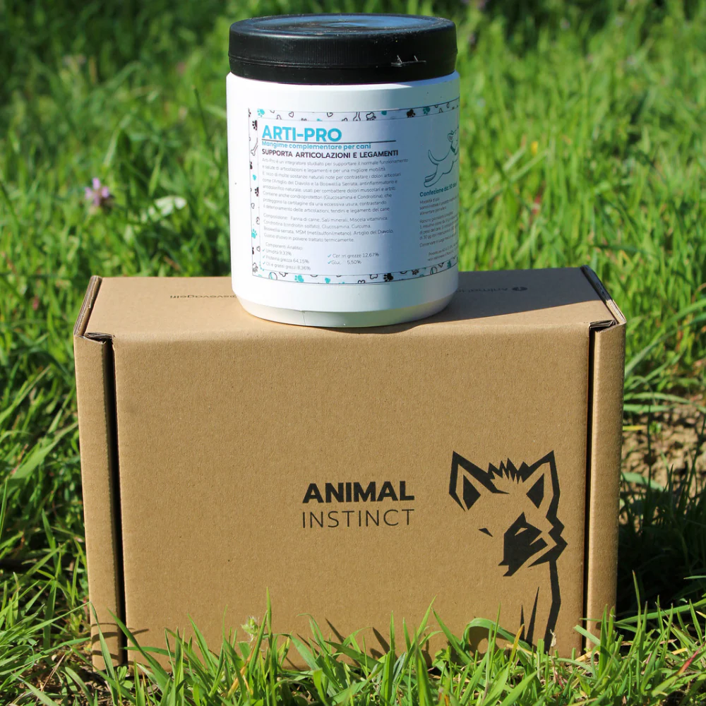 ARTI-PRO - immagine 3