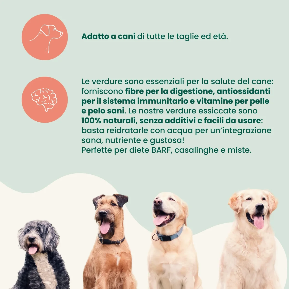 Zucchine Disidratate (400 gr) - immagine 4