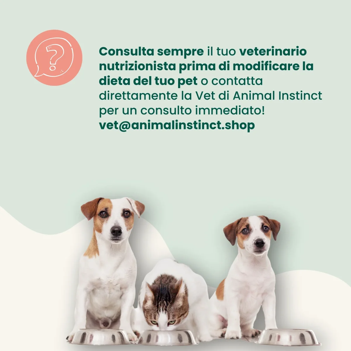 Alga Marina - immagine 6