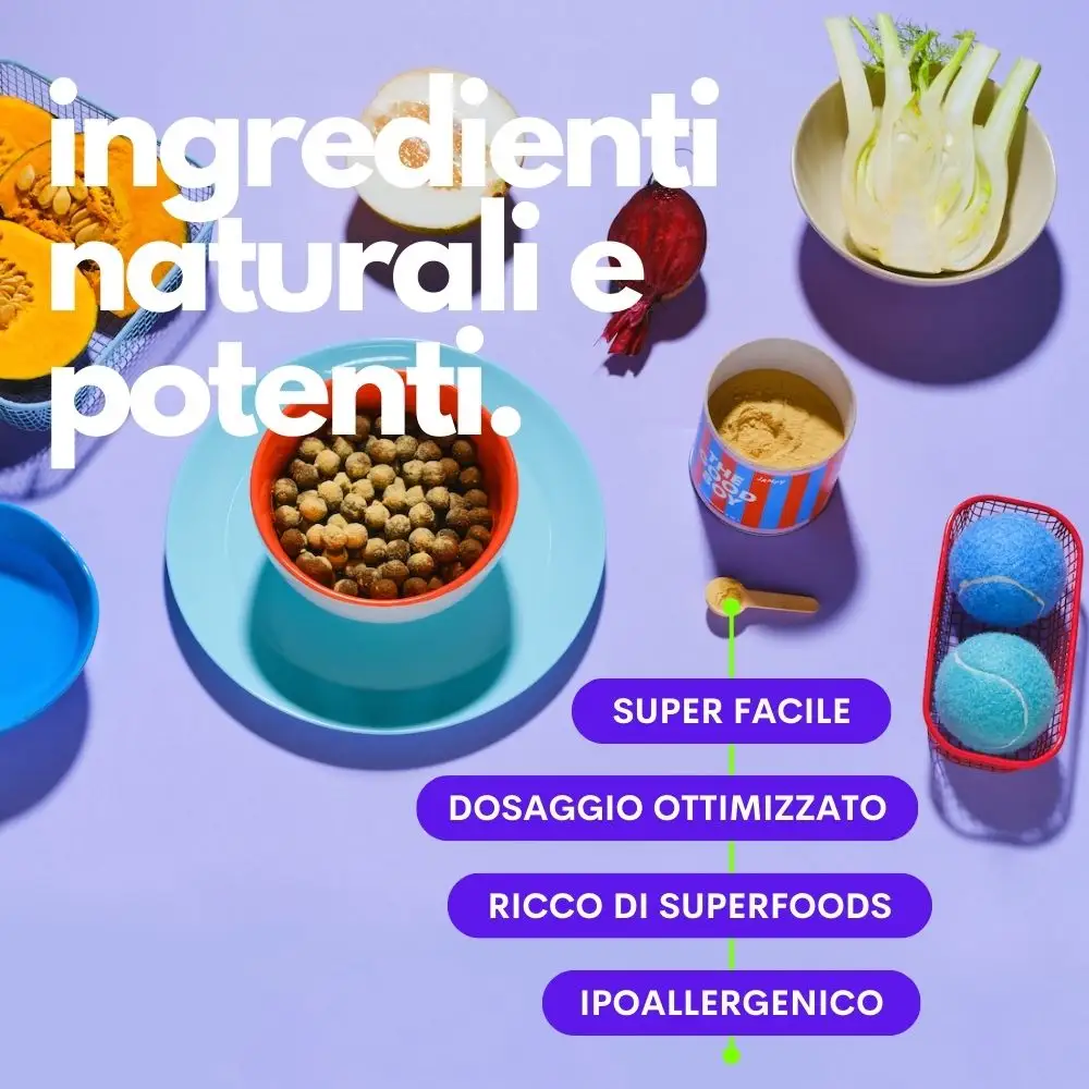 Jampy - The Good Boy - Integratore Multifunzione 120Gr - immagine 8