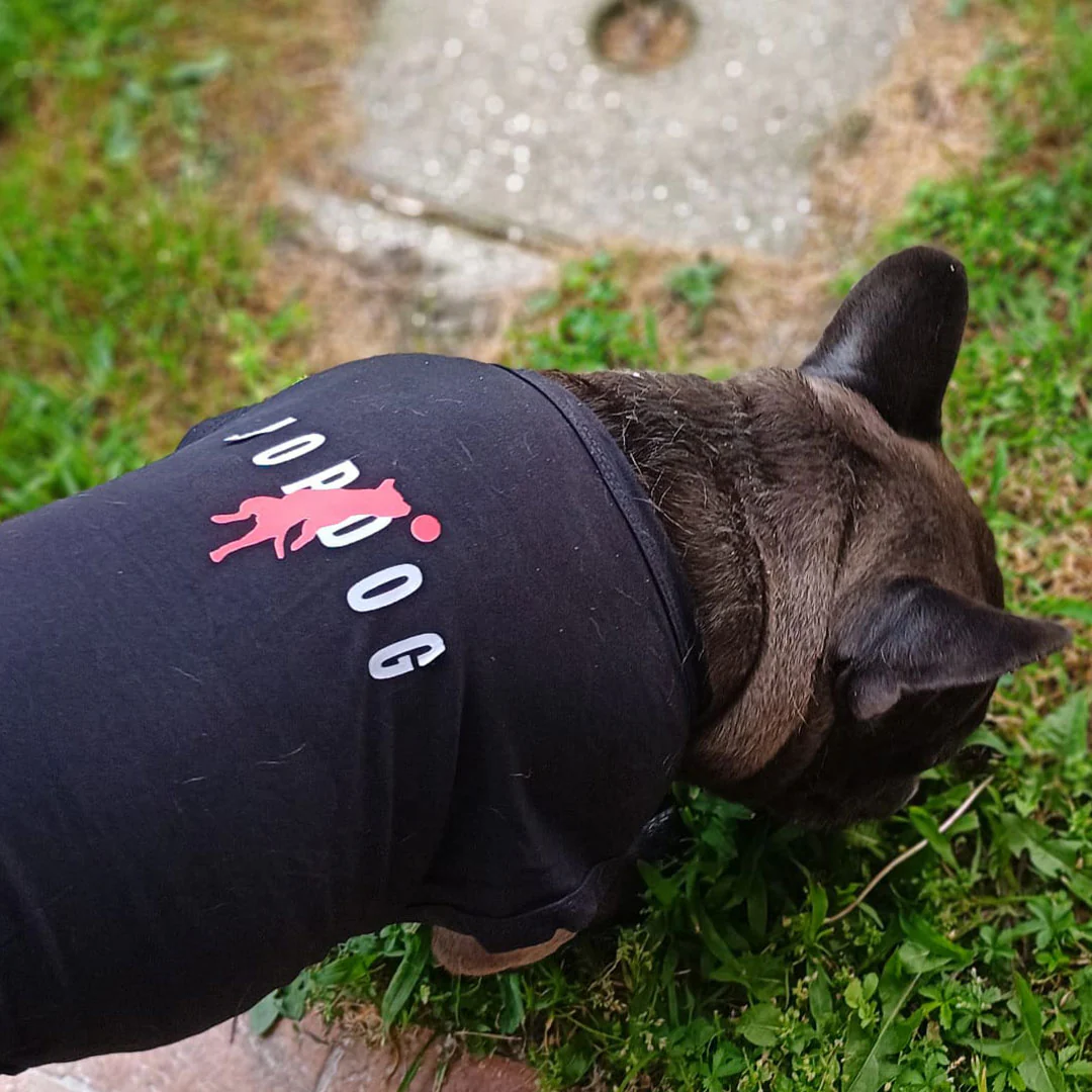 Canottiera estiva per cani - da 4 a 15kg - nera - Jordog - immagine 7