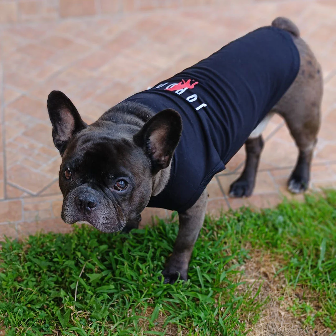 Canottiera estiva per cani - da 4 a 15kg - nera - Jordog - immagine 8