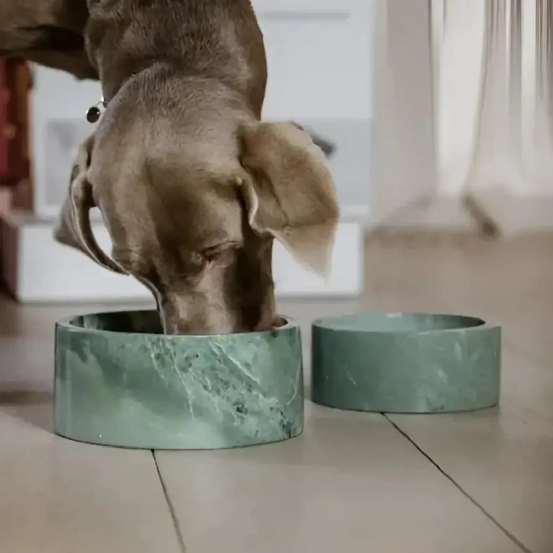 Kentucky - Ciotola per cani in marmo - immagine 2