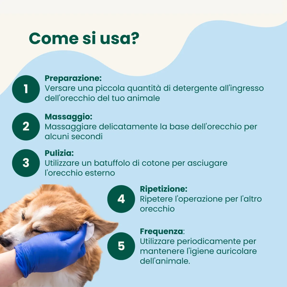 Detergente Orecchie - immagine 5