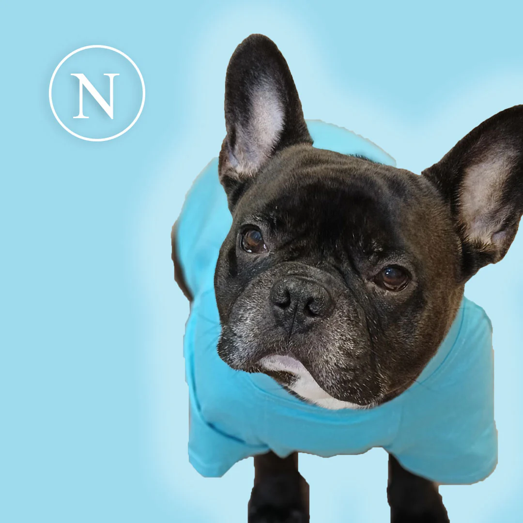 Maglietta napoletana personalizzata da calcio - con maniche - per cani da 4 a 40kg - immagine 5