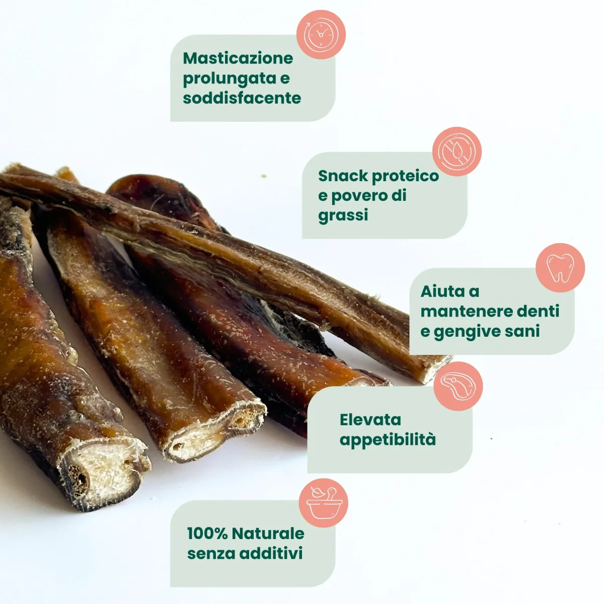 Nervo Bovino Extra Resistente 15 cm (4 pz) - immagine 4
