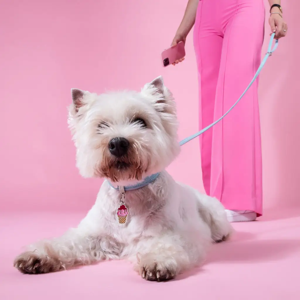 My Family - Collare Saint Tropez - immagine 5