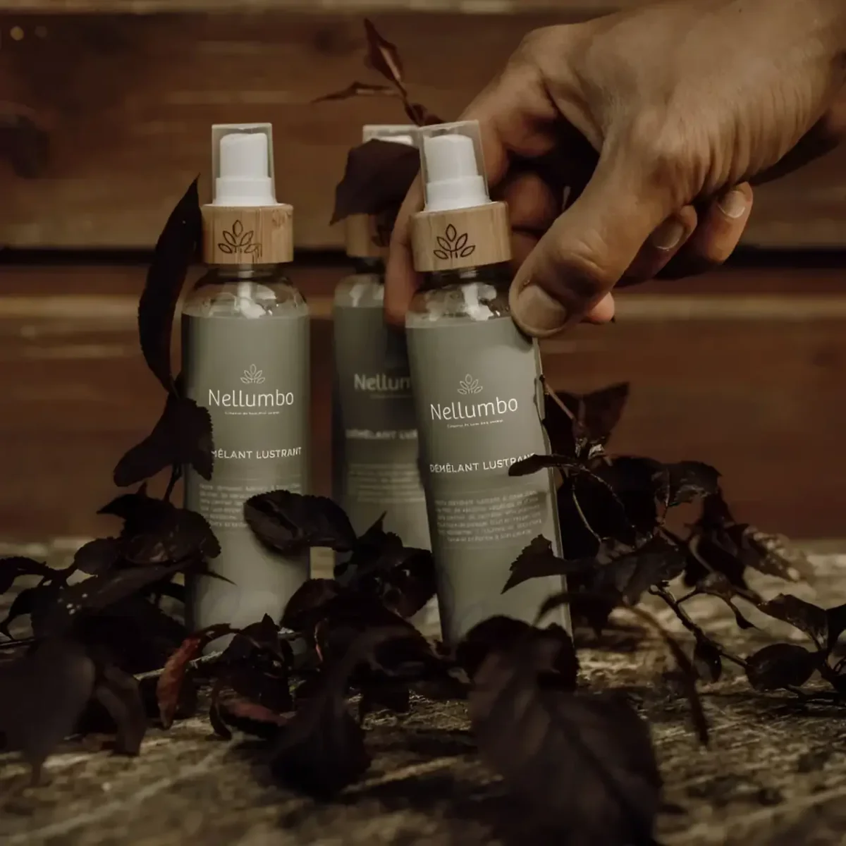 Nellumbo - Lucidante Districante - immagine 3