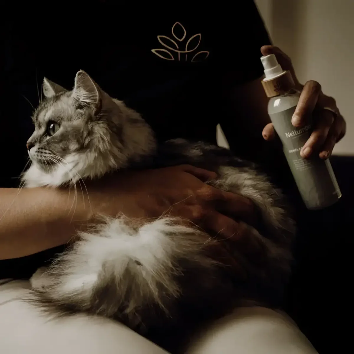 Nellumbo - Lucidante Districante - immagine 4