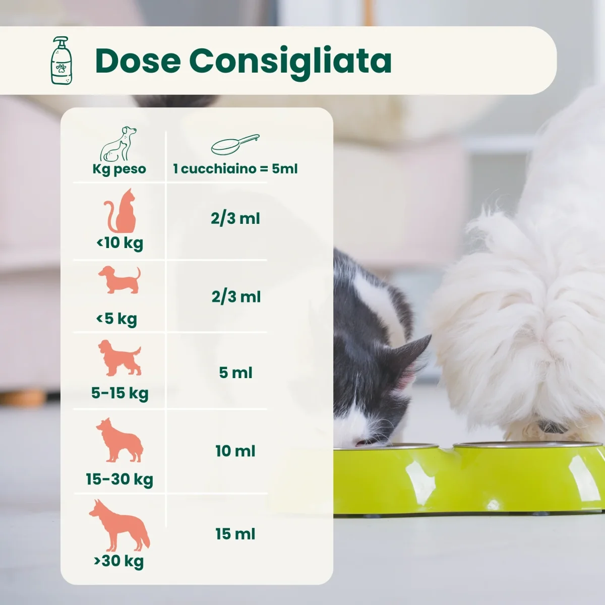 Olio di Canapa - immagine 4