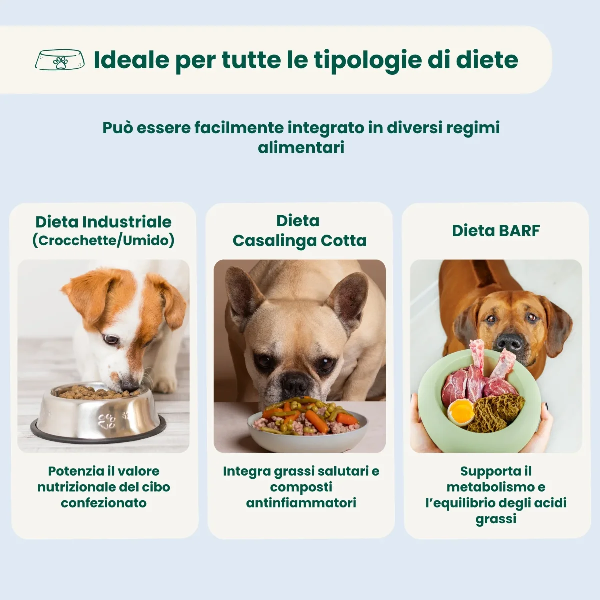 Olio di Canapa - immagine 5