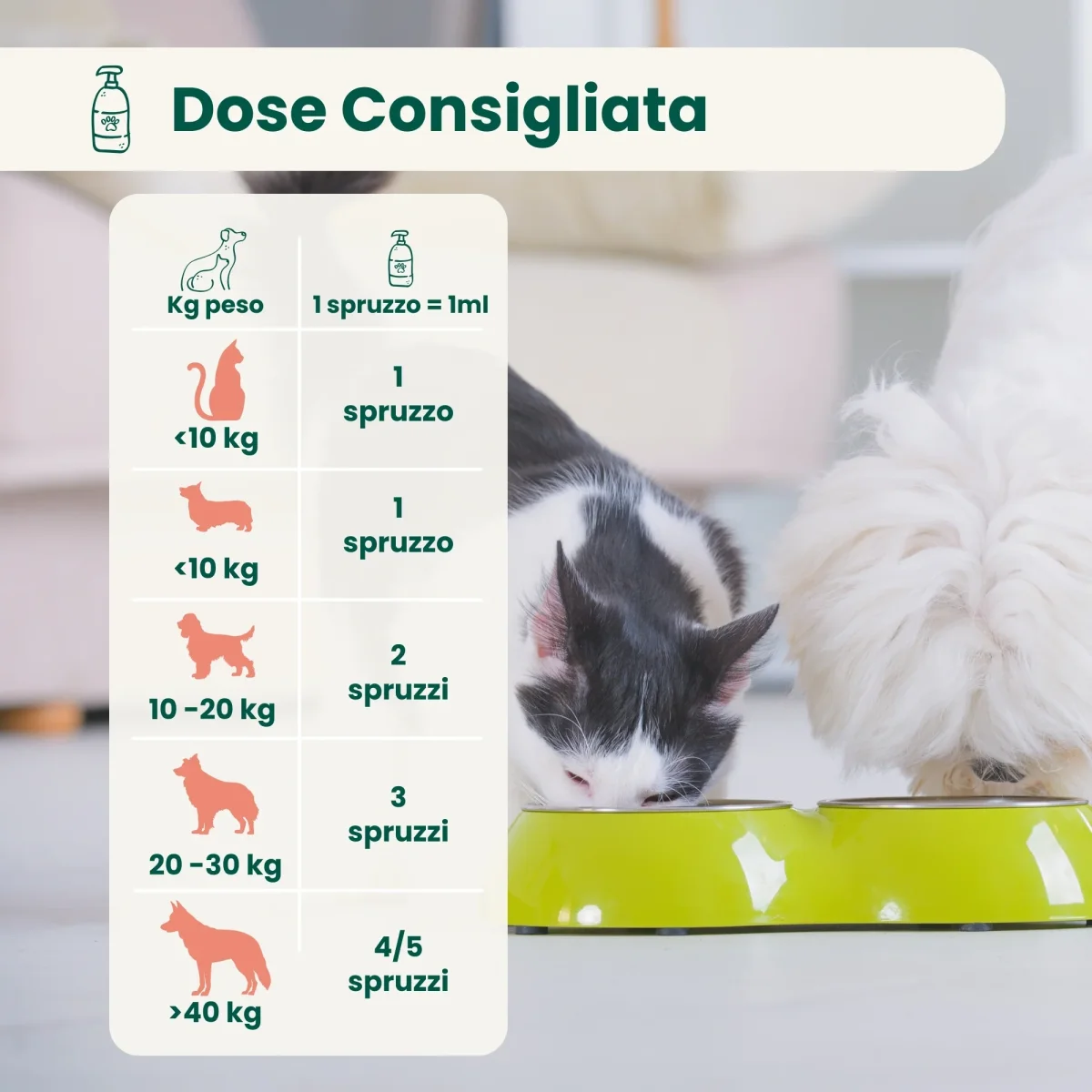 Olio di Lino - immagine 4