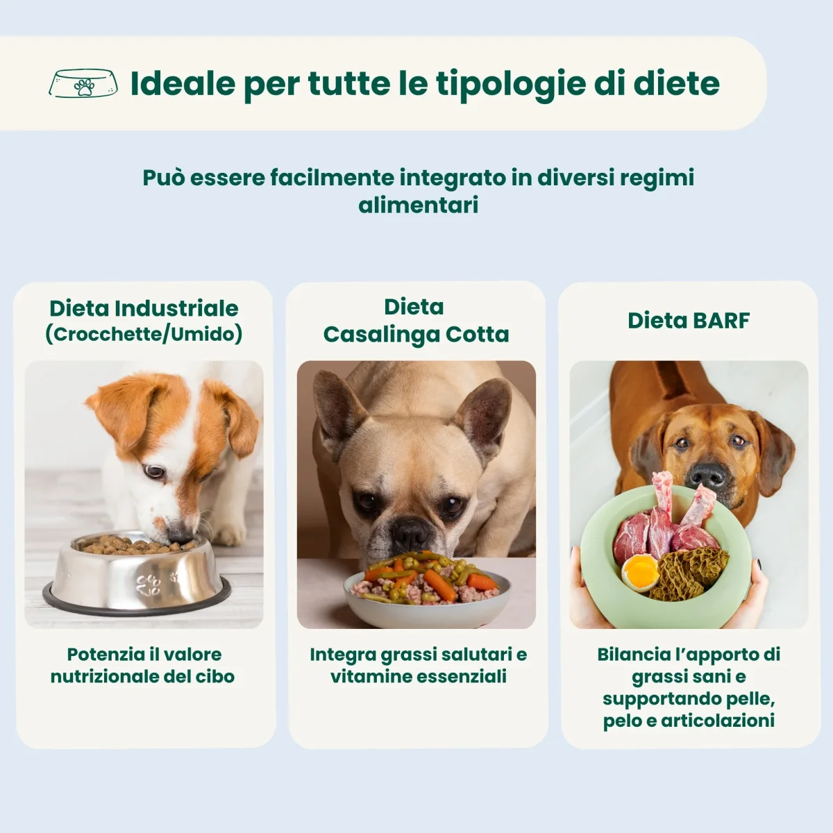 Olio di Lino - immagine 5