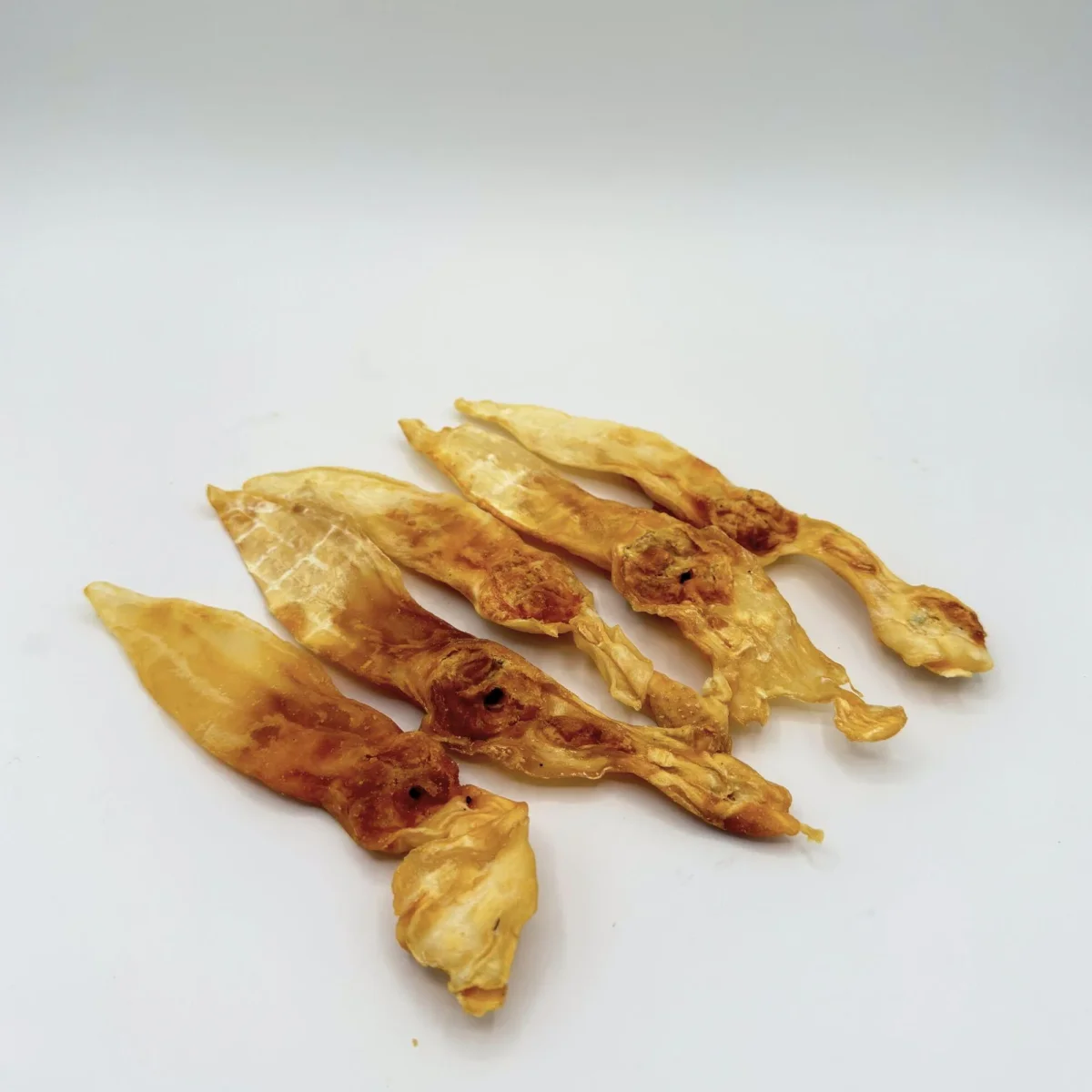 Orecchio di Coniglio senza Pelo (5 pz) - immagine 2