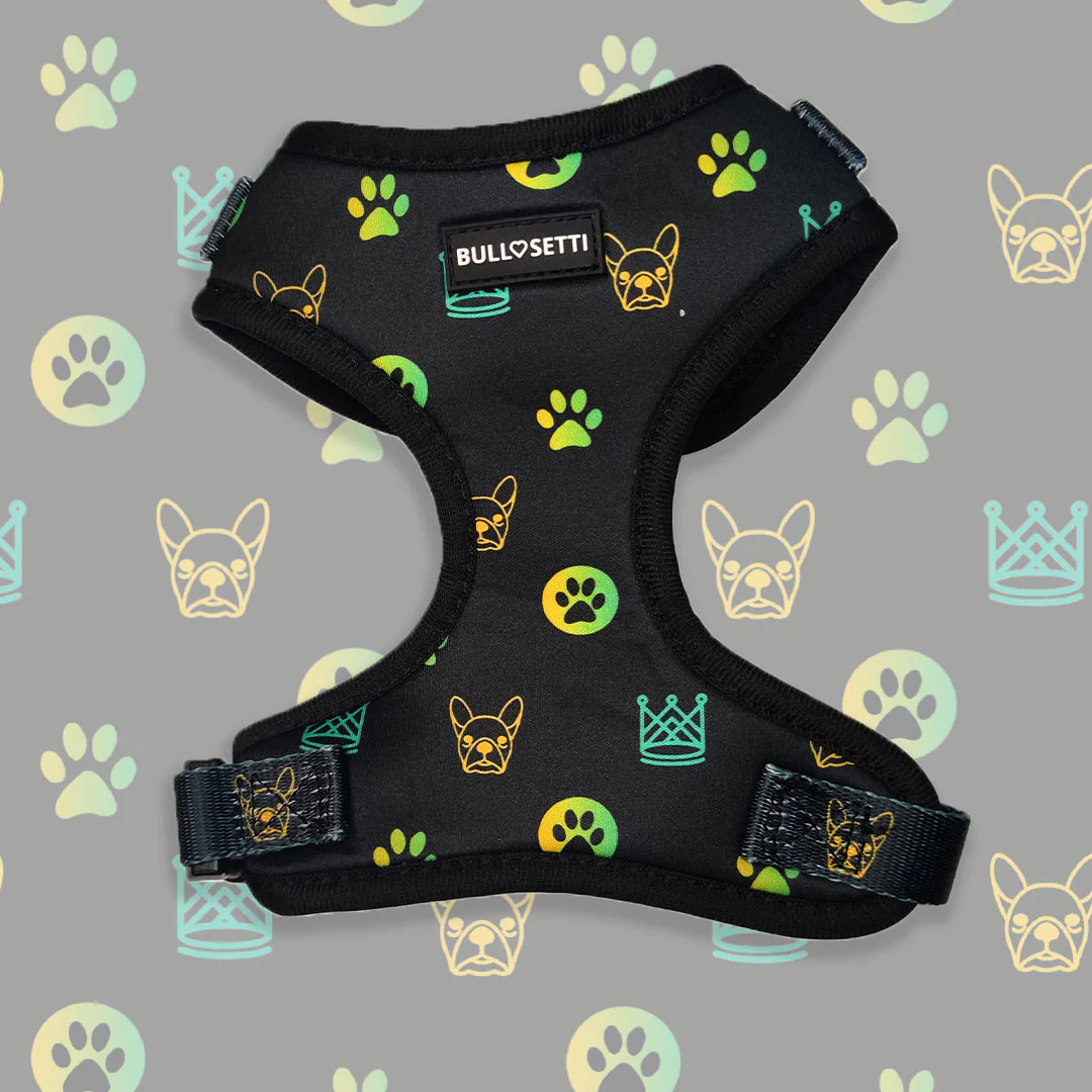 Pettorina ad H - regolabile - mod. Aletheia - immagine 5