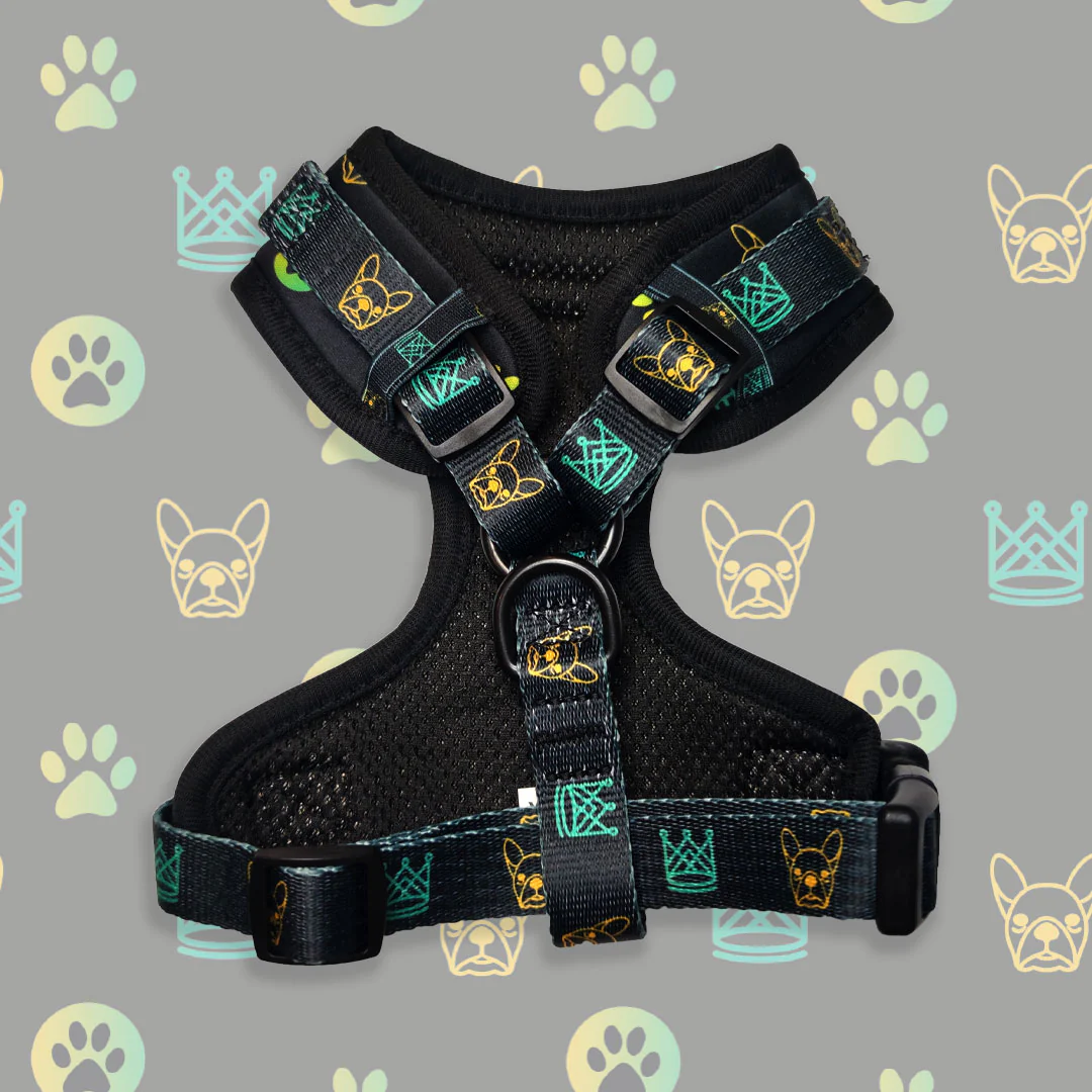 Pettorina ad H - regolabile - mod. Aletheia - immagine 6