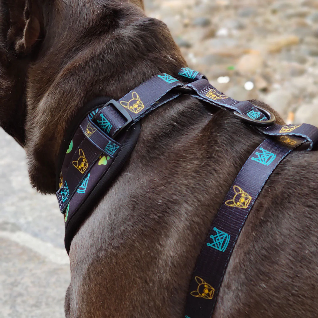 Pettorina ad H - regolabile - mod. Aletheia - immagine 3